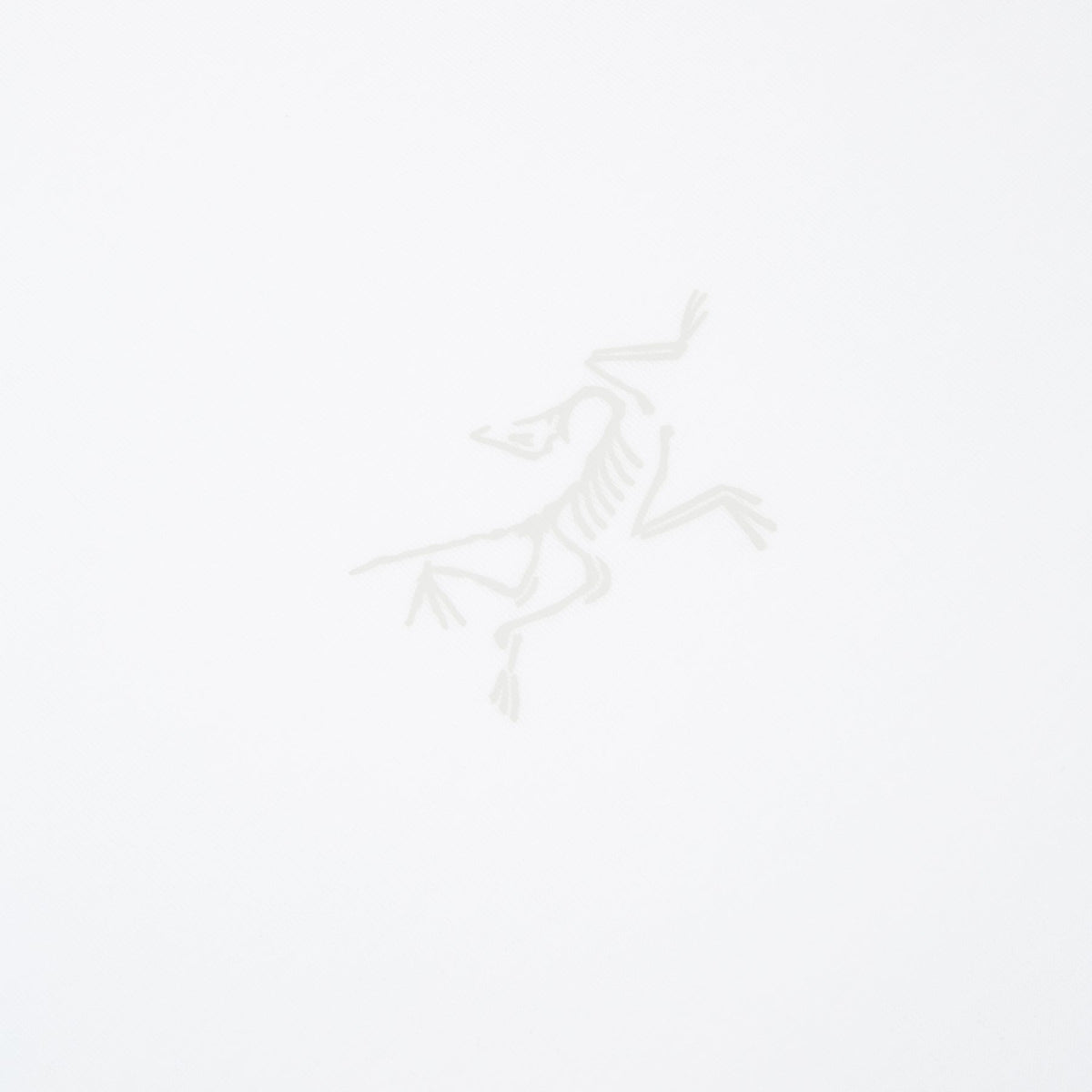 Arc'teryx Kragg SL Cotton SS M (White Light) T-shirt Top