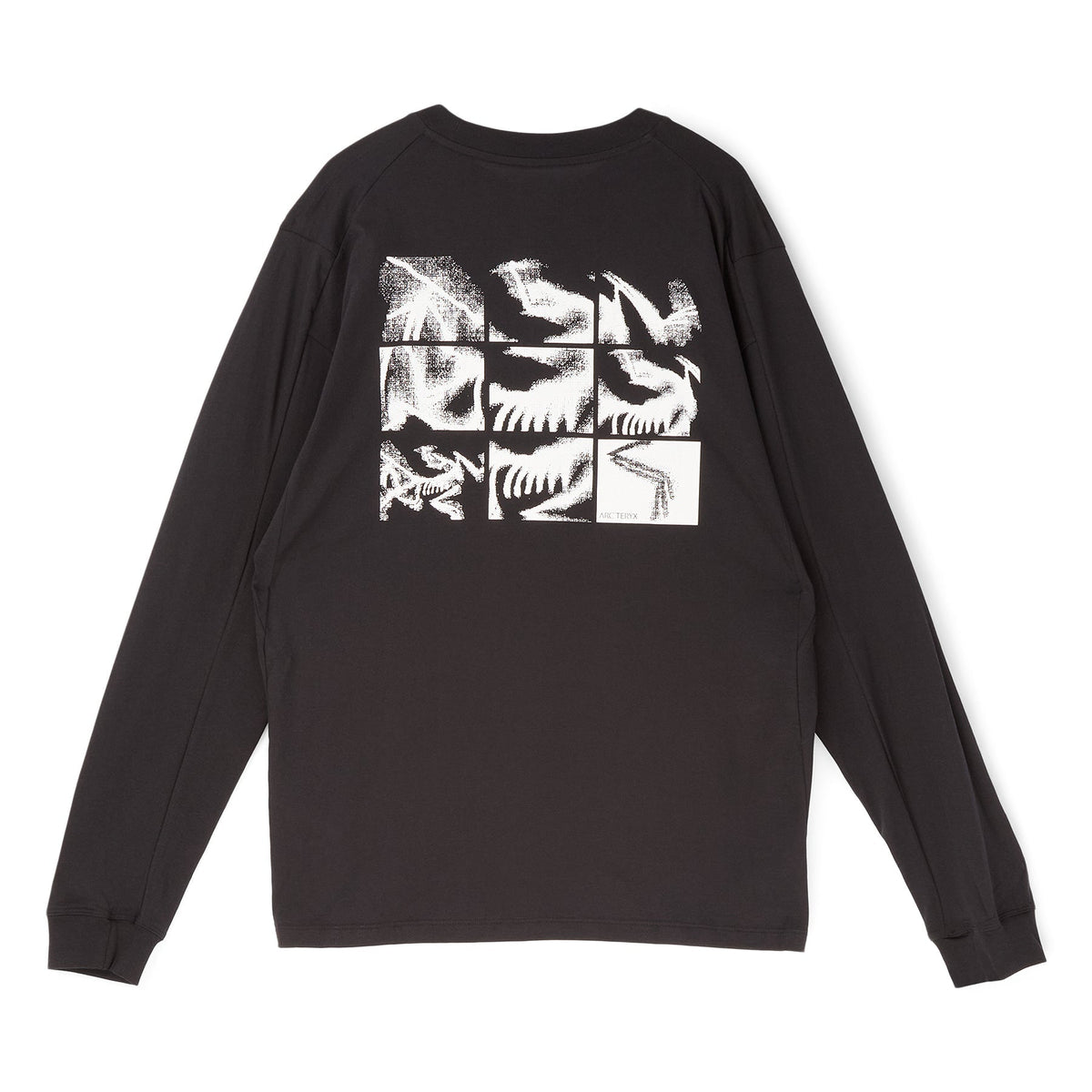 Arc'teryx Kragg SL Cotton Bird Tile LS M (Black / Arctic Silk) Top