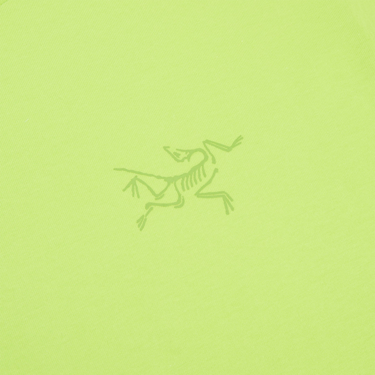 Arc'teryx Kragg Cotton LS M (Mantis)Top