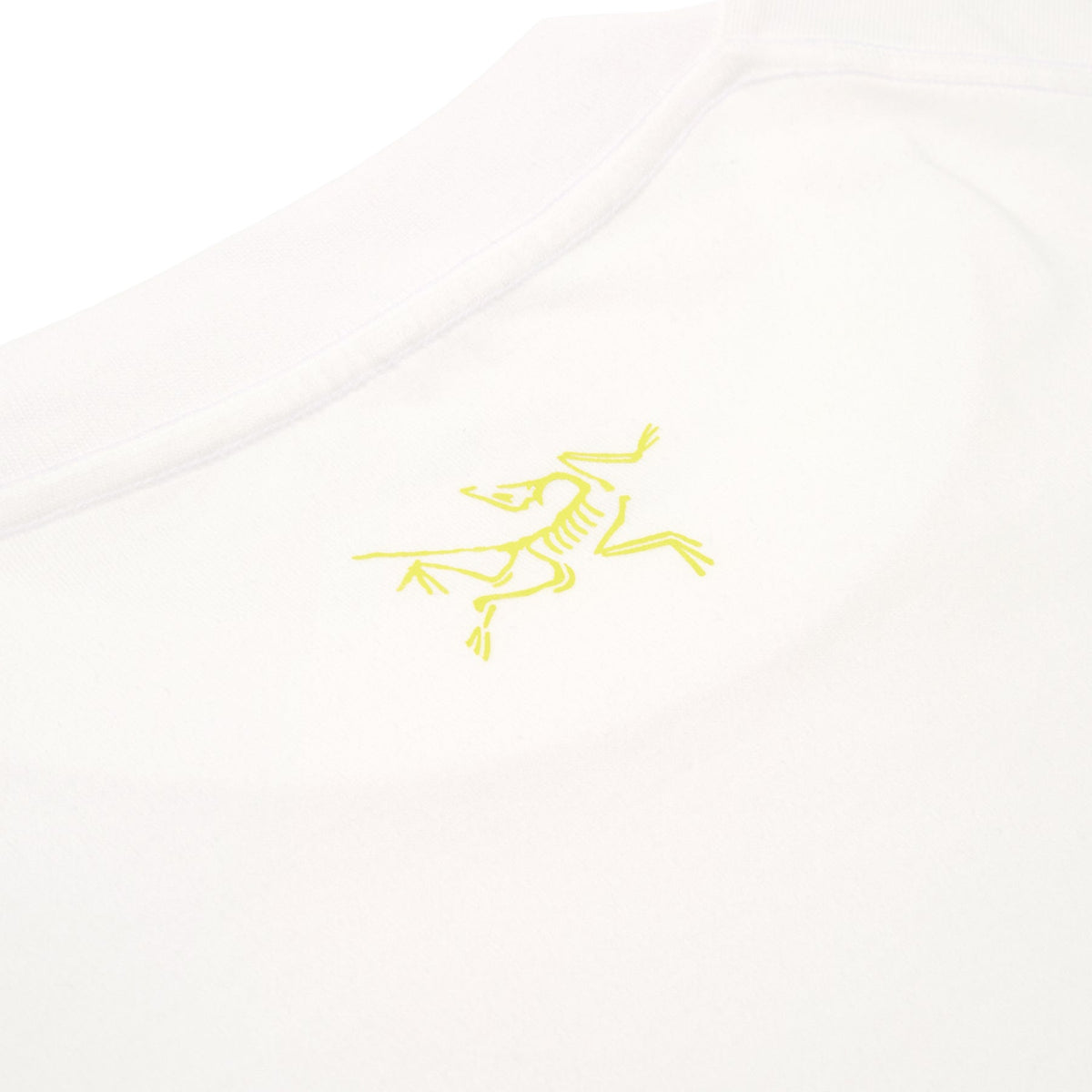 Arc'teryx Kragg Cotton Lithographica SS M (White Light) T-shirt Top